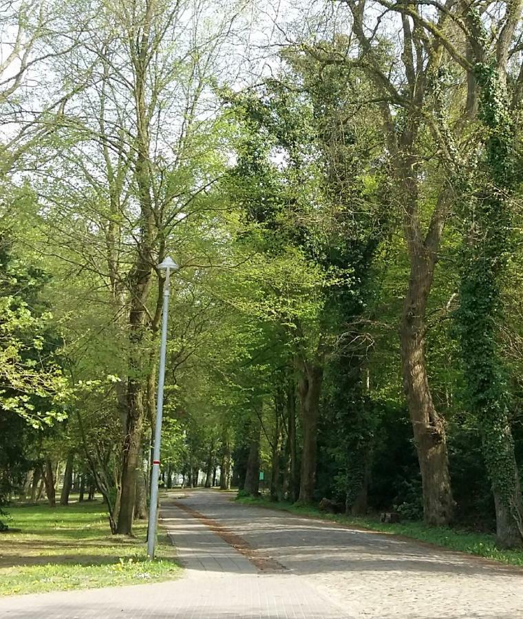 Ferienwohnung "Am Schlosspark" Neetzow Esterno foto