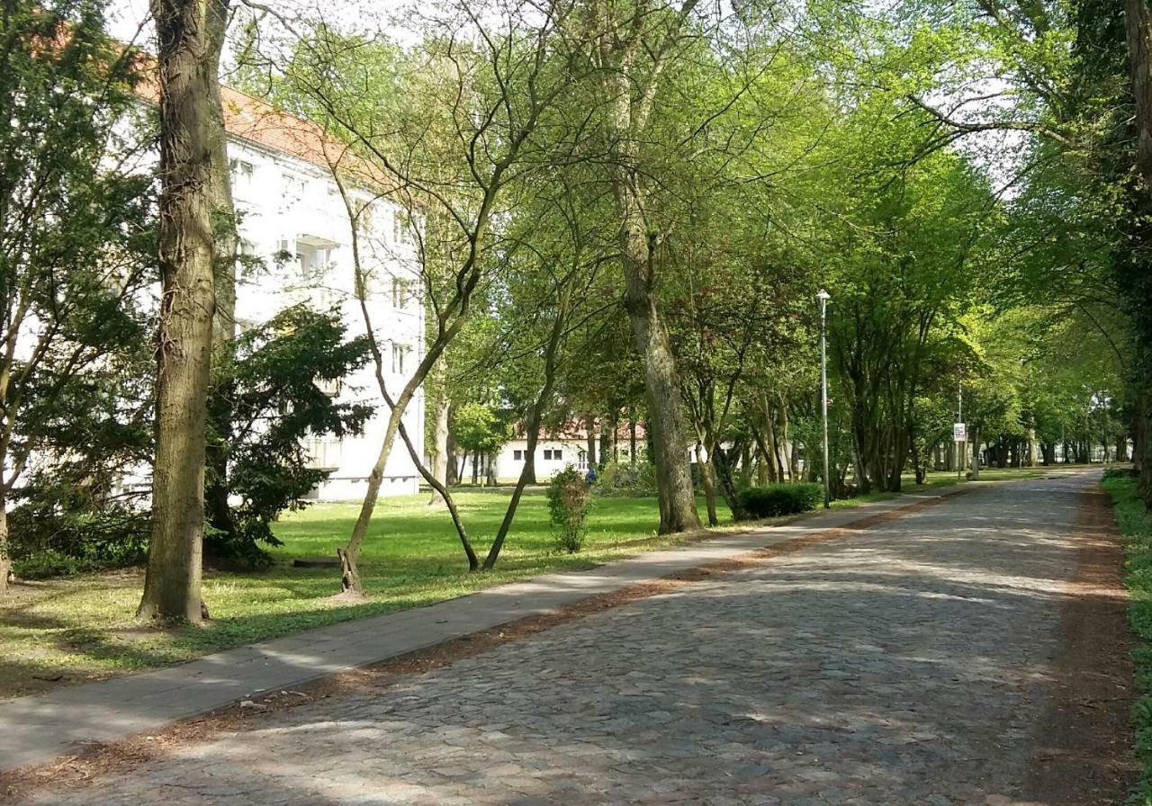 Ferienwohnung "Am Schlosspark" Neetzow Esterno foto
